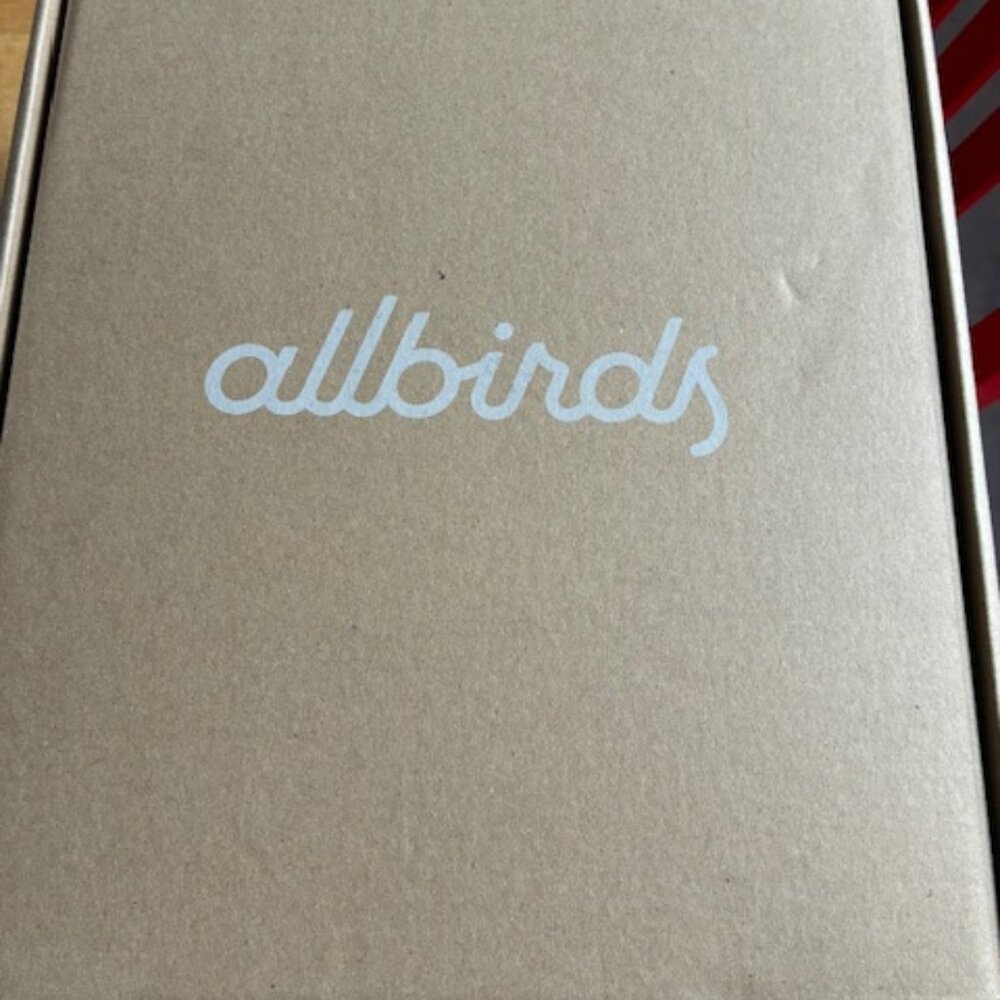 NEW Allbirds, Wool Piper Bough, M11, Gray